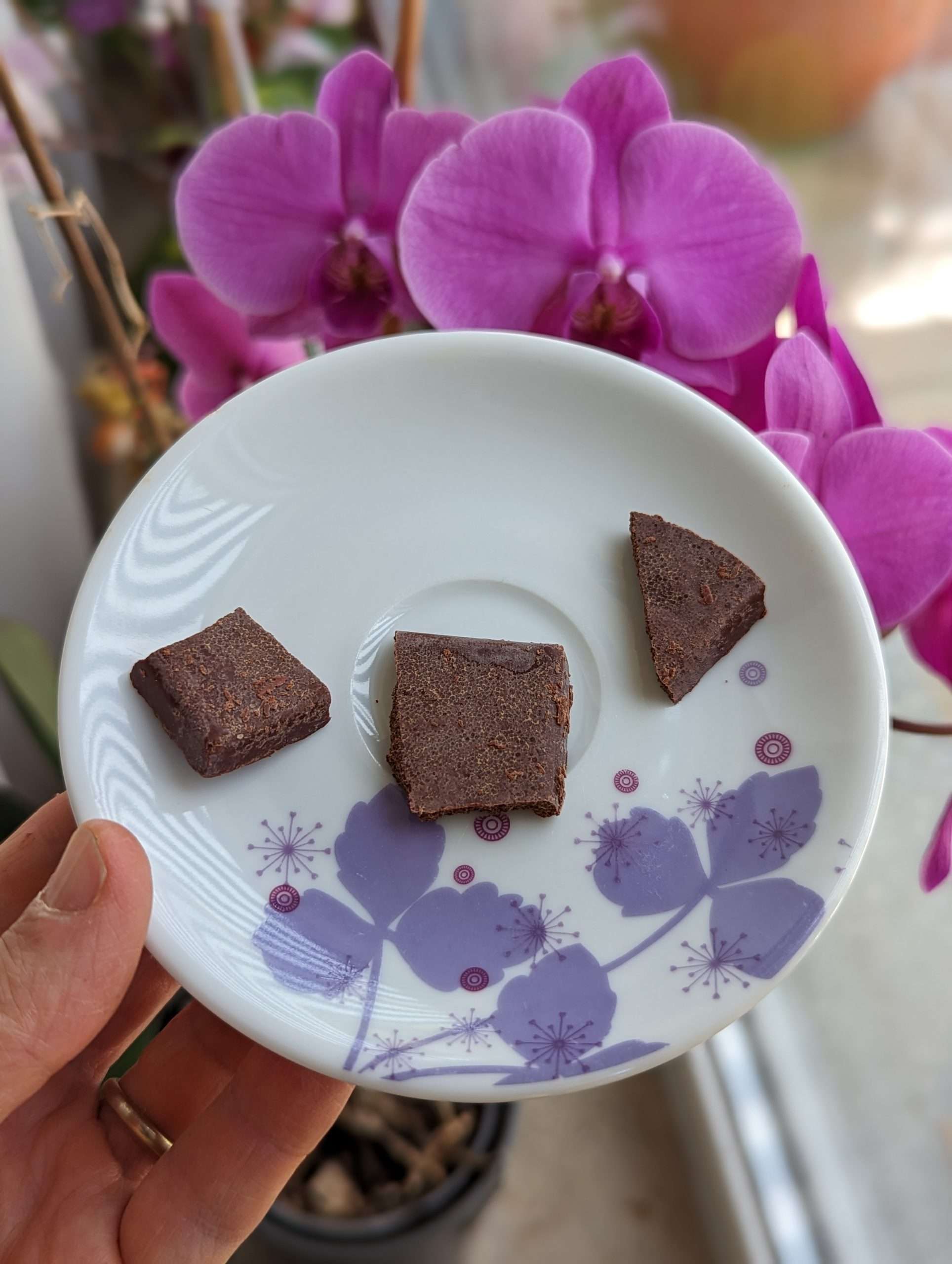 Scopri di più sull'articolo Cioccolato Donna Elvira 100% Carmelo 1 Almendra Blanca Messico