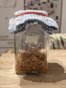 Scopri di più sull'articolo Germinare il farro: guida facile e veloce